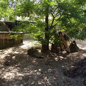 Africa- Meerkat enclosure 13.7.23