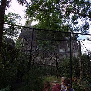 Africa- Cape ground squirrel and mixed bird enc