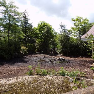 Africa- Red river hog enclosure 13.7.23