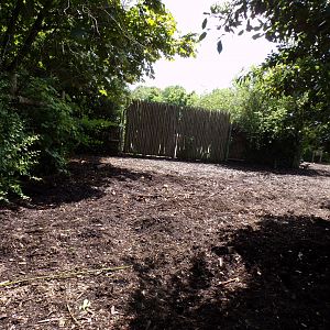 Africa- Red river hog enclosure 13.7.23