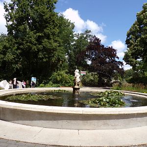 Africa- Fountain 13.7.23