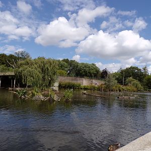 Asia- View of the lake 13.7.23