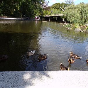 Asia- View of the lake 13.7.23