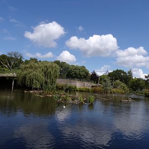 Asia- View of the lake 13.7.23