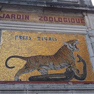 Entrance tiger and snake artwork, 2022-09-04