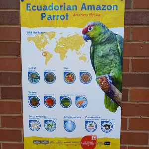 Ecuadorian Amazon Parrot signage