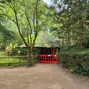 Barriered-off walkway by the Yellow-throated martens