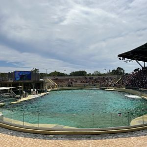 Main Dolphin show pool