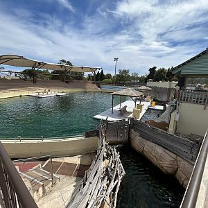 Main Sea Lion show pool and connecting ‘race’