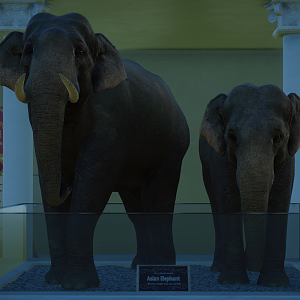 Planet Zoo - Museum Under Construction - Asian Elephants