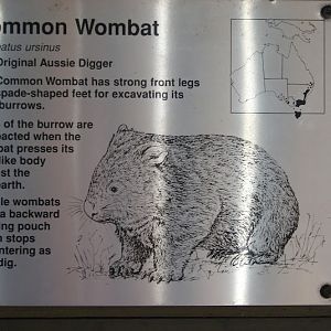 WPZ 2007 - Common Wombat signage, Children's Zoo
