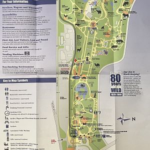 Zoo Map - 2008