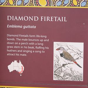 WPZ 2007 - Diamond Firetail signage, Mallee Aviary, Children's Zoo