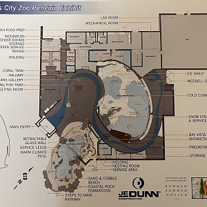 Penguin Exhibit Map - 2013