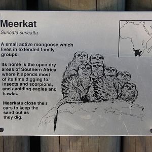 WPZ 2007 - Slender-tailed Meerkat signage, Children's Zoo