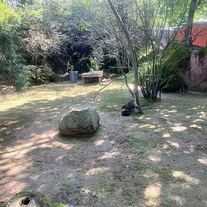 Bennett’s Wallaby Exhibit