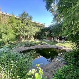 Giant Anteater Exhibit