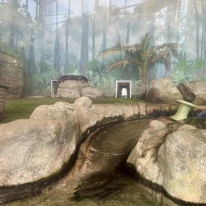 Giant Otter Exhibit