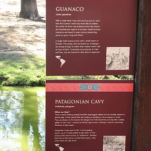 WPZ 2007 - Guanaco and Patagonian Mara signage, South American paddock