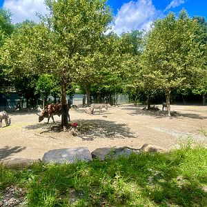 African Plains Exhibit