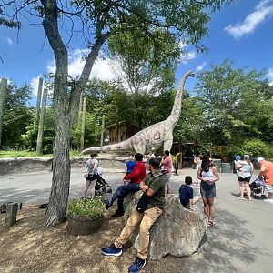 Splendid day at a popular zoo