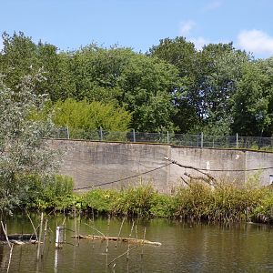 Asia- Ring-tailed lemur island 13.7.23