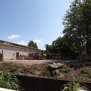 Africa- Black rhino enclosure 13.7.23