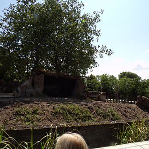 Africa- Black rhino enclosure 13.7.23