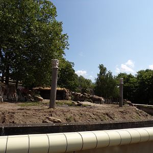 Africa- Black rhino enclosure 13.7.23