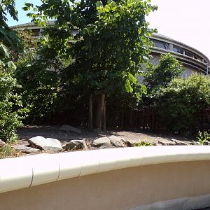 Africa- Pygmy hippo enclosure 13.7.23