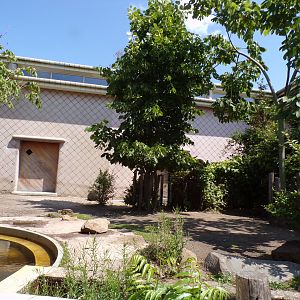 Africa- Pygmy hippo enclosure 13.7.23