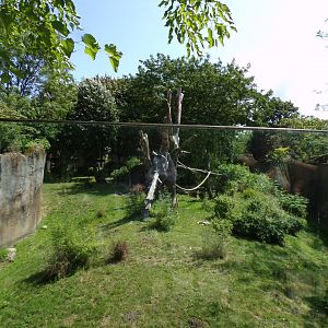 Africa- Gorilla enclosure 13.7.23