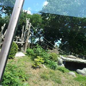 Africa- Gorilla enclosure 13.7.23