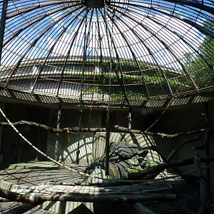 Africa- Gorilla separation enclosure? 13.7.23