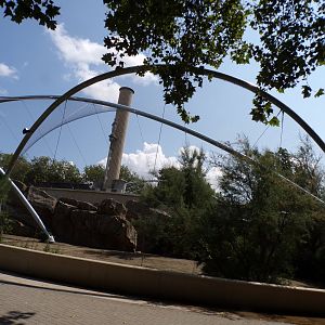 Africa- Gelada enclosure 13.7.23