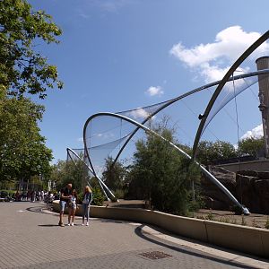 Africa- Gelada enclosure 13.7.23