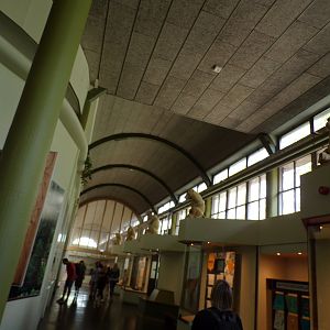 Africa- View of statues inside the RivieraHal 13.7.23