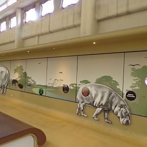 Africa- Hippo signage 13.7.23