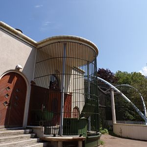 Africa- Former cage in gelada house 13.7.23