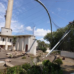 Africa- Gelada enclosure 13.7.23