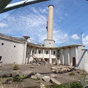 Africa- Gelada enclosure 13.7.23