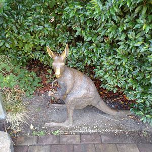 Australia- Wallaby statue 13.7.23