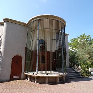 Africa- Former cage in Gelada house 13.7.23