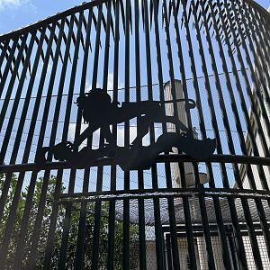 Africa- Old artwork in Gelada house 13.7.23