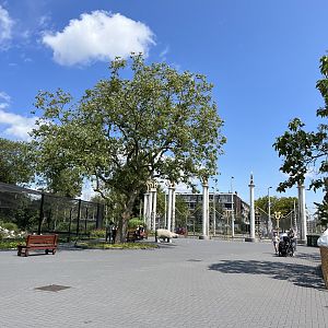 General view 13.7.23