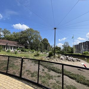 Asia- Flamingo aviary 13.7.23