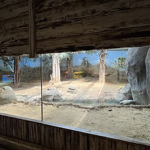 Asia- Komodo dragon enclosure 13.7.23