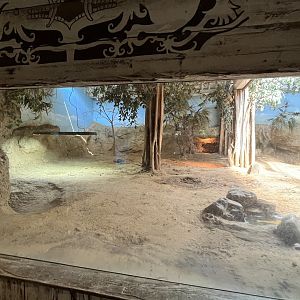Asia- Komodo dragon enclosure 13.7.23