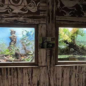 Asia- Plant terrariums 13.7.23