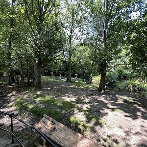 Asia- Visayan spotted deer enclosure 13.7.23